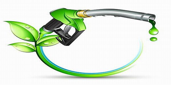 Oil Alternatives