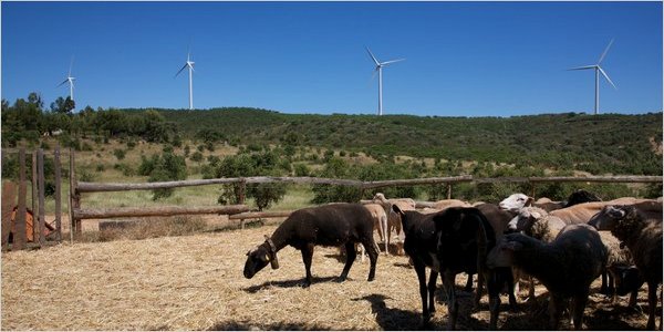 Portugal Renewable Energy Investing 