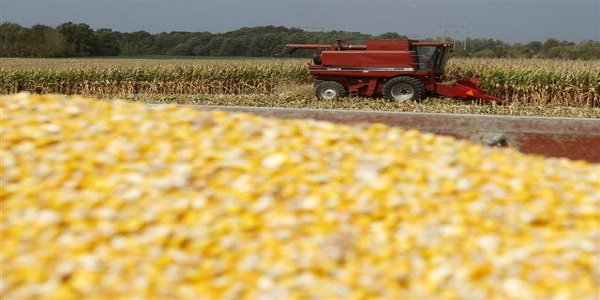 Ethanol Investing Dangers